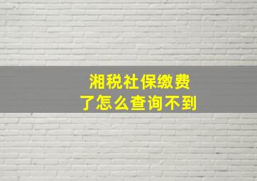 湘税社保缴费了怎么查询不到