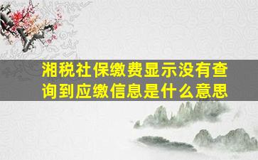 湘税社保缴费显示没有查询到应缴信息是什么意思