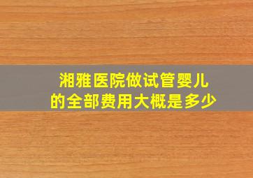 湘雅医院做试管婴儿的全部费用大概是多少