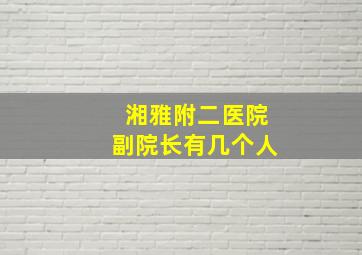 湘雅附二医院副院长有几个人