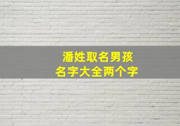 潘姓取名男孩名字大全两个字