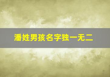 潘姓男孩名字独一无二