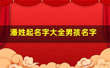 潘姓起名字大全男孩名字