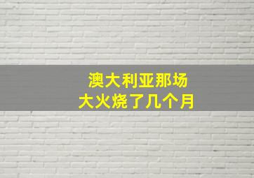 澳大利亚那场大火烧了几个月