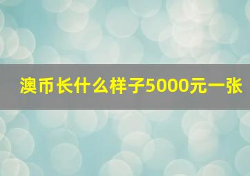 澳币长什么样子5000元一张