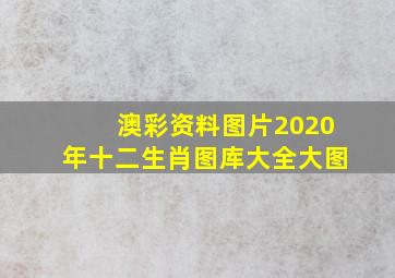 澳彩资料图片2020年十二生肖图库大全大图