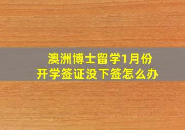 澳洲博士留学1月份开学签证没下签怎么办