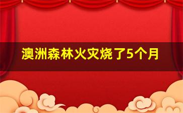 澳洲森林火灾烧了5个月