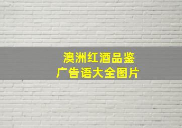 澳洲红酒品鉴广告语大全图片