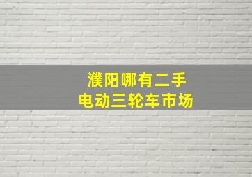 濮阳哪有二手电动三轮车市场