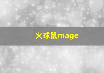 火球鼠mage