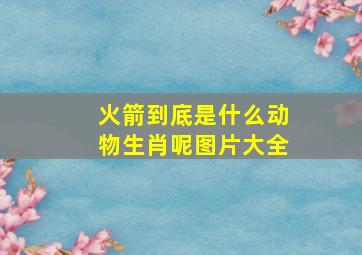 火箭到底是什么动物生肖呢图片大全