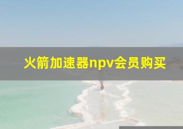 火箭加速器npv会员购买