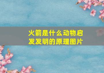 火箭是什么动物启发发明的原理图片