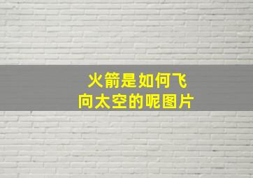 火箭是如何飞向太空的呢图片