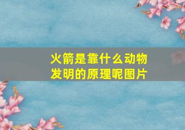 火箭是靠什么动物发明的原理呢图片