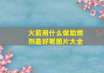 火箭用什么做助燃剂最好呢图片大全