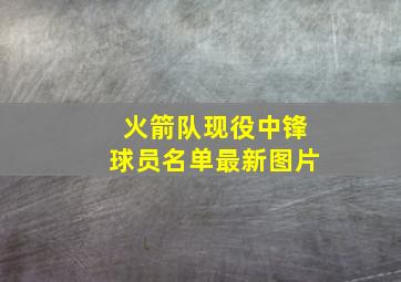 火箭队现役中锋球员名单最新图片