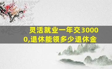 灵活就业一年交30000,退休能领多少退休金