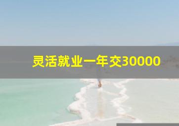 灵活就业一年交30000