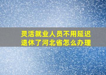 灵活就业人员不用延迟退休了河北省怎么办理