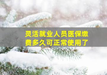 灵活就业人员医保缴费多久可正常使用了