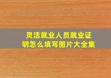 灵活就业人员就业证明怎么填写图片大全集