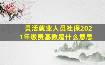 灵活就业人员社保2021年缴费基数是什么意思