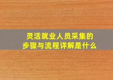 灵活就业人员采集的步骤与流程详解是什么