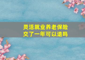 灵活就业养老保险交了一年可以退吗