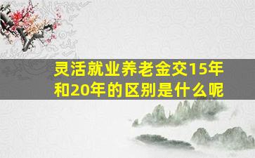 灵活就业养老金交15年和20年的区别是什么呢