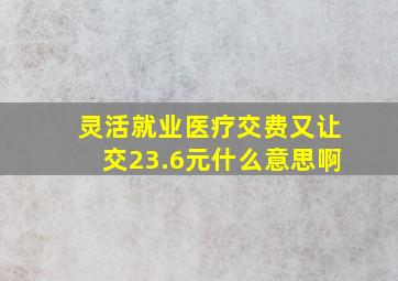 灵活就业医疗交费又让交23.6元什么意思啊