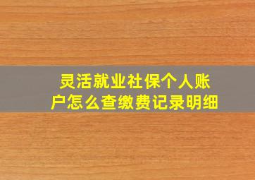 灵活就业社保个人账户怎么查缴费记录明细