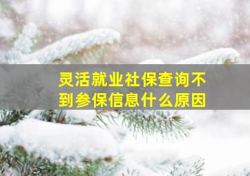 灵活就业社保查询不到参保信息什么原因