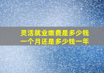 灵活就业缴费是多少钱一个月还是多少钱一年