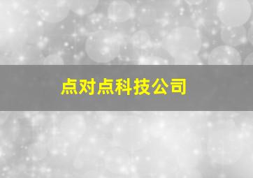 点对点科技公司