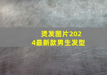 烫发图片2024最新款男生发型