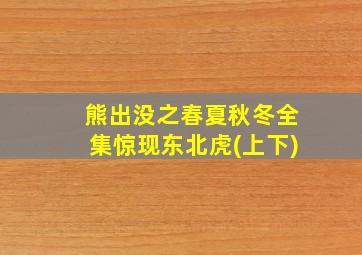 熊出没之春夏秋冬全集惊现东北虎(上下)