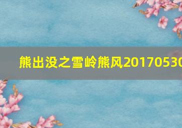 熊出没之雪岭熊风20170530