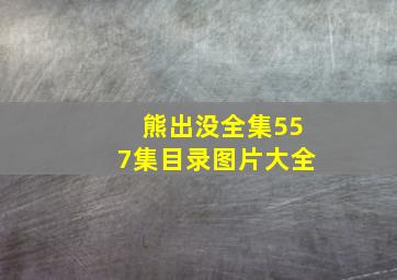 熊出没全集557集目录图片大全