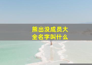 熊出没成员大全名字叫什么