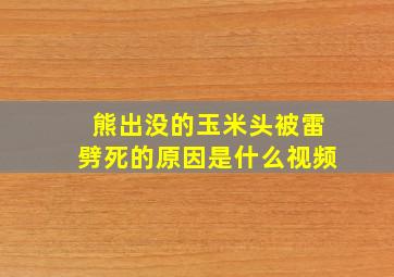 熊出没的玉米头被雷劈死的原因是什么视频