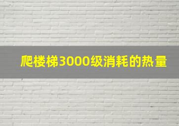 爬楼梯3000级消耗的热量