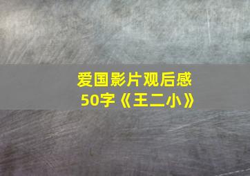 爱国影片观后感50字《王二小》