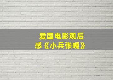 爱国电影观后感《小兵张嘎》