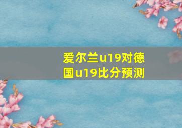 爱尔兰u19对德国u19比分预测