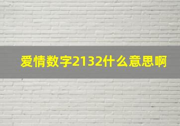 爱情数字2132什么意思啊