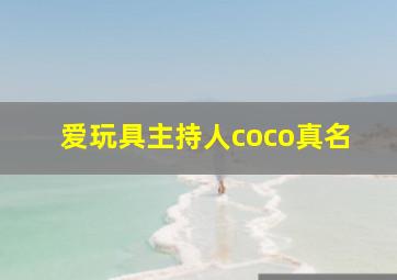 爱玩具主持人coco真名