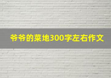 爷爷的菜地300字左右作文