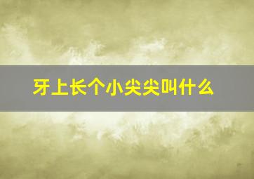 牙上长个小尖尖叫什么